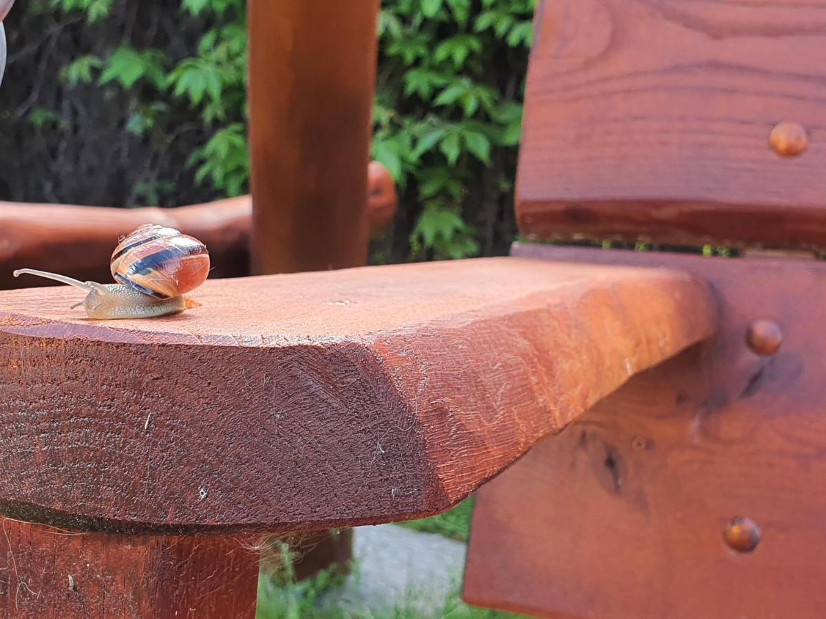 Pokoje U Gosi Węgorzewo Esterno foto